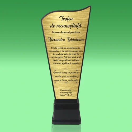 Trofeu Plexiglas – Personalizat prin Gravură Laser, Cadou pentru Profesor [ #0777 ]