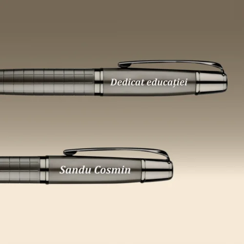 Set 2 Pixuri Metalice Personalizabile, Cadou pentru Profesor [ #1146 ]