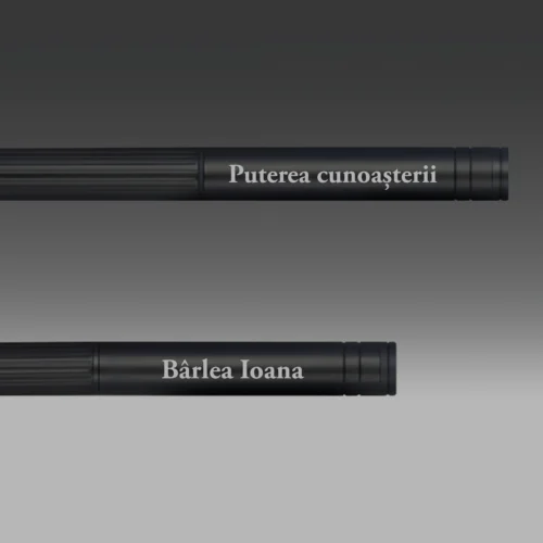 Set 2 Pixuri Metalice Personalizabile, Cadou pentru Profesor [ #1158 ]